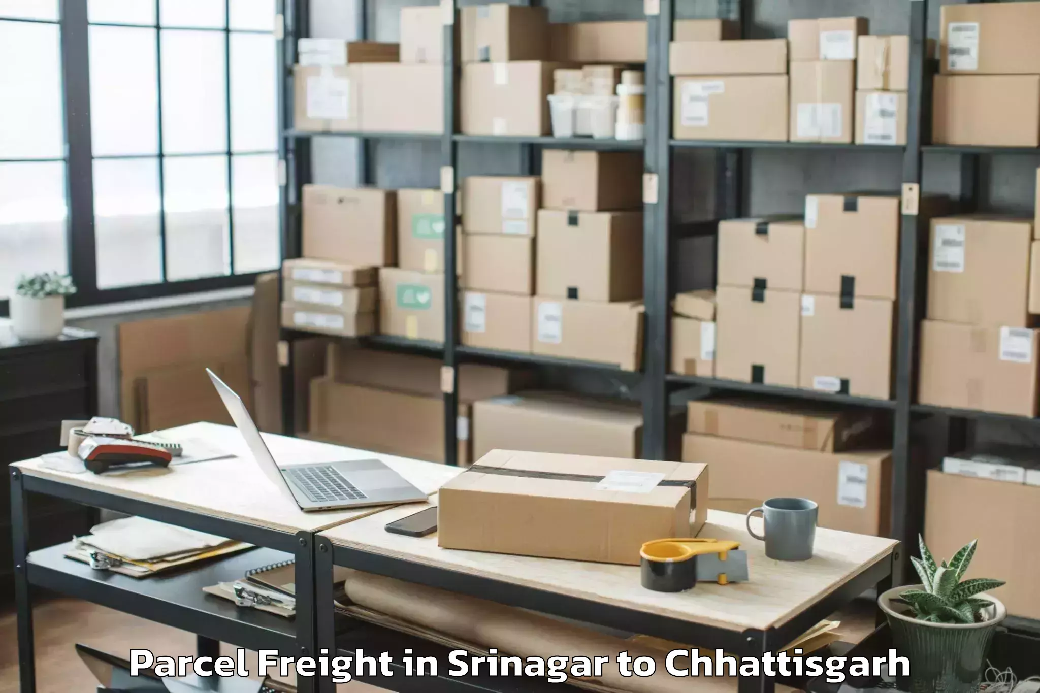 Quality Srinagar to Bhairamgarh Parcel Freight